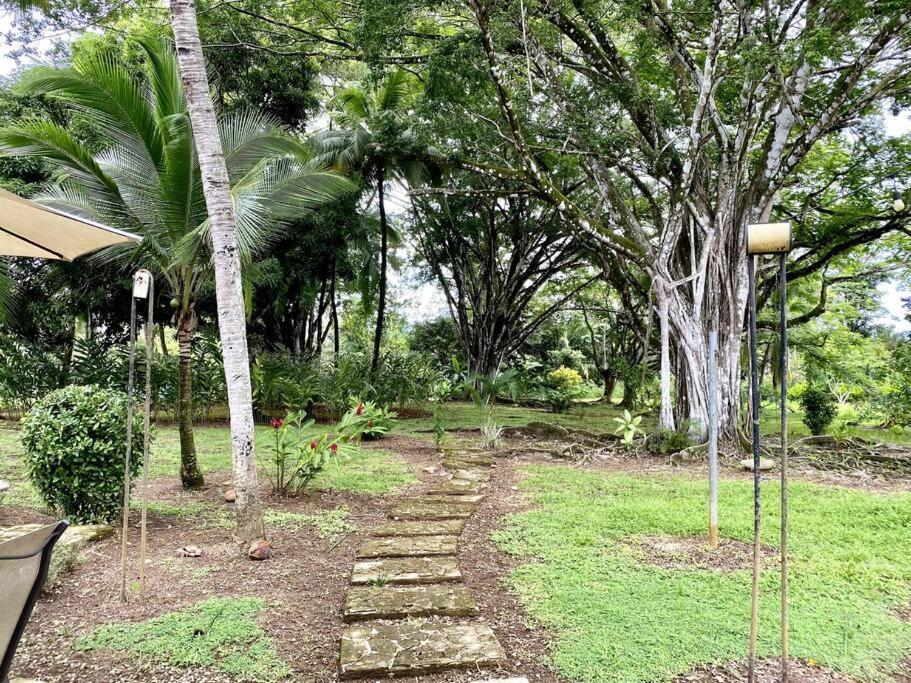 Laguna Eco Village #211 Pool Tenis Bbq Quepos Buitenkant foto